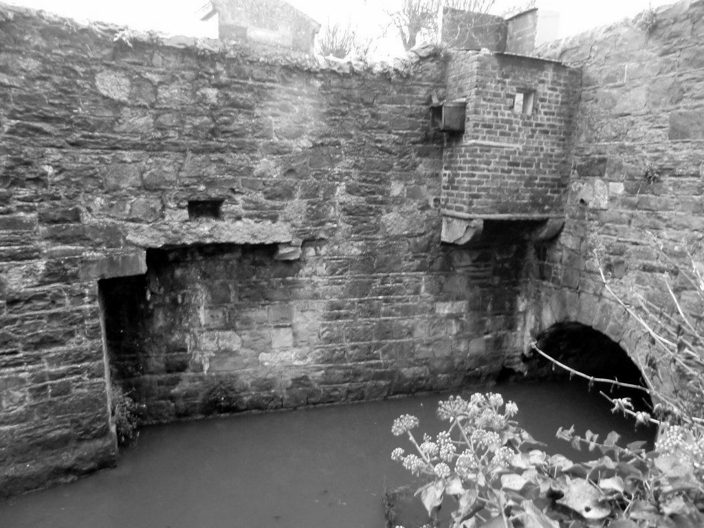 The Poddle at Mount Jerome