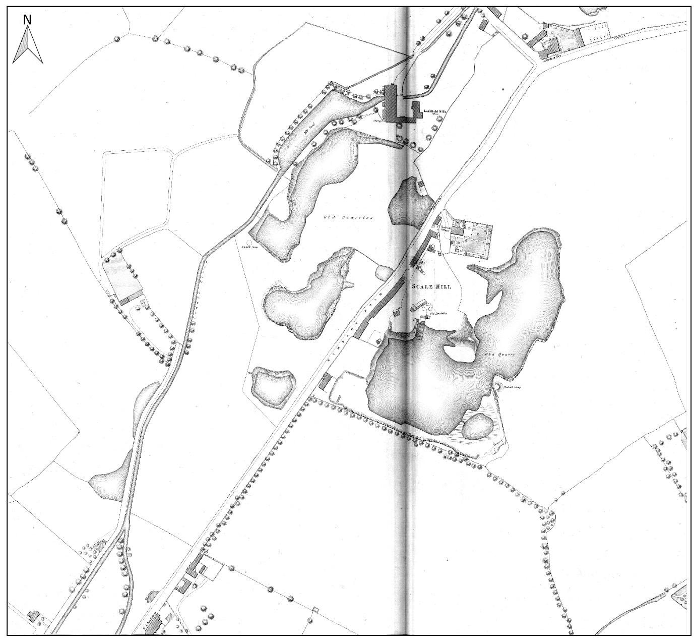 Ordnance Survey five-foot map, 1876, showing Larkfield Mill and its ponds. Figure 11-10. From the River Poddle flood scheme environmental impact assessment report, Chapter 11 (An Bord Pleanála case 306725).