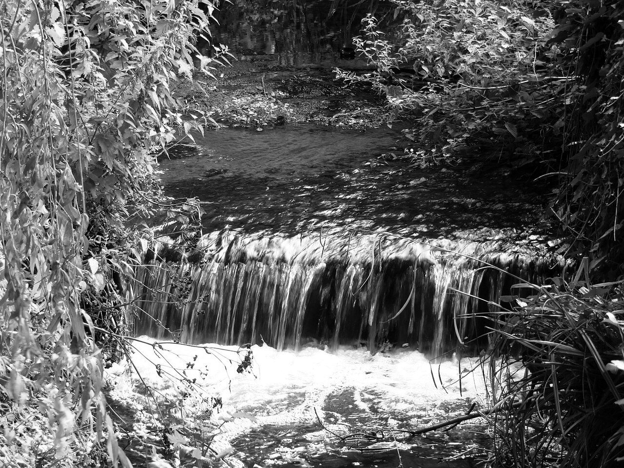 The Poddle at Poddle Park, Kimmage